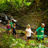 Kauai Waterfall Hike & Swim